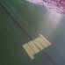 画像6: 【RICH PAVEL SURFBOARD/リッチパベル】Keel Hauler 5'8" (6)