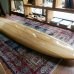 画像3: 【Neal Purchase Jnr/ニールパーチェスジュニア】Duo Glider8'8" (3)