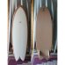 画像1: 【RICH PAVEL SURFBOARD/リッチパベル】High Performance Fish 5'9" (1)