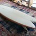 画像3: 【RICH PAVEL SURFBOARD/リッチパベル】High Performance Fish 5'9" (3)