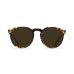 画像1: 【RAEN/レイン】REMMY52/Tokyo Tortoise/Brown Polarized (1)