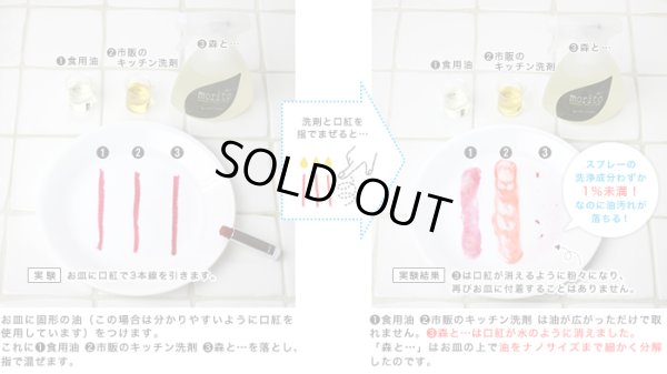 画像2: 【キッチン洗剤　森と…】スプレーボトル　250ml