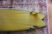 画像8: 【RICH PAVEL SURFBOARD/リッチパベル】GP Maxi Twinzer 7'4"