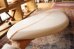 画像7: 【Morning Of The Earth Surfboards】MASSIVE 7'4"