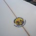 画像11: 【Morning Of The Earth Surfboards】Tracks Twin 5’10” (11)