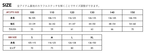 画像5: ◆ご予約受付中◆21-22モデル【ii】CLASSIC BIB