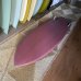 画像9: 【Derrick Disney/デリックディズニー】Twinzer Fish 5'6 (9)