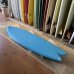 画像4: 20%OFF【Derrick Disney/デリックディズニー】Twinzer Fish 5'8 (4)