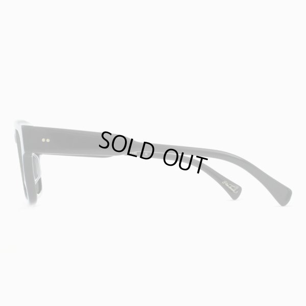 画像3: 【RAEN/レイン】Rece/CRYSTAL BLACK/GREEN POLARIZED