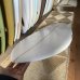 画像8: 【Morning Of The Earth Surfboards】FIJI 6'3"