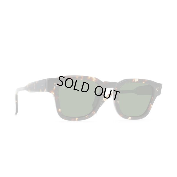 画像2: 【RAEN/レイン】Rece/BRINDLE TORTOISE/GREEN POLARIZED