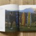 画像5: 【BIG SKY LIMITED】BOOK/日本語字幕入DVDセット Aceton Magazine付き