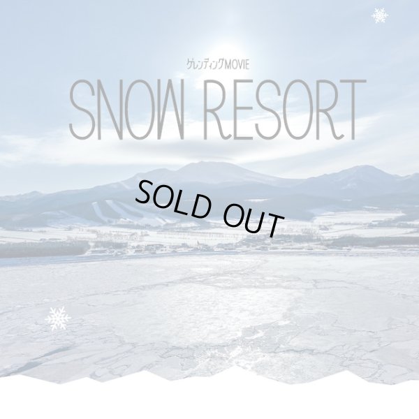 画像1: 【DVD】SNOW RESORT