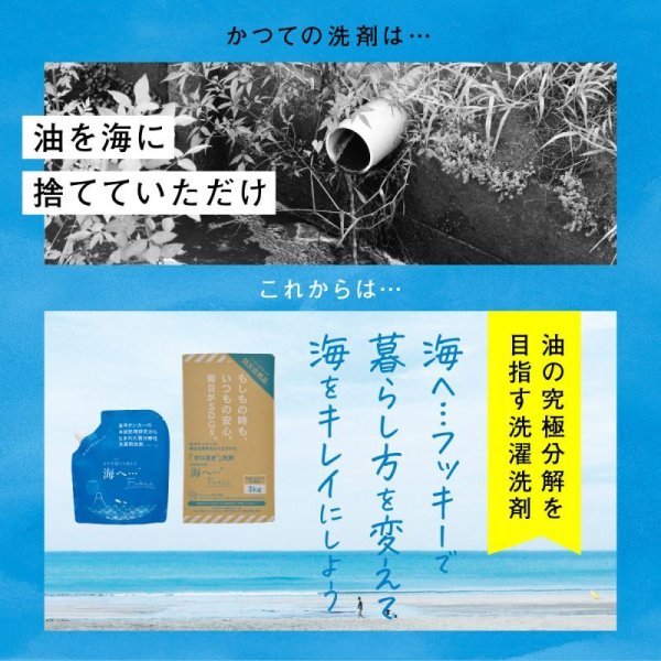 画像2: 【海へ…Fukii】 詰替パック380ｇ