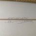画像6: 20%OFF【Simon Jones Designs】FIJI 6’10” (6)