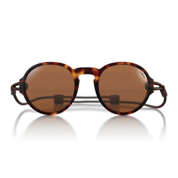 画像1: 【OMBRAZ】VIALE/Tortoise/polarized brown
