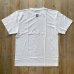 画像1: 【JULY WETSUITS】Basic Tee (1)