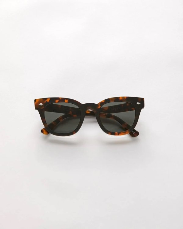 画像2: 【EPOKHE】DYLAN Dark Tortoise Matte Green