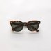 画像2: 【EPOKHE】DYLAN Dark Tortoise Matte Green (2)