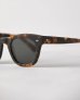 画像6: 【EPOKHE】DYLAN Dark Tortoise Matte Green