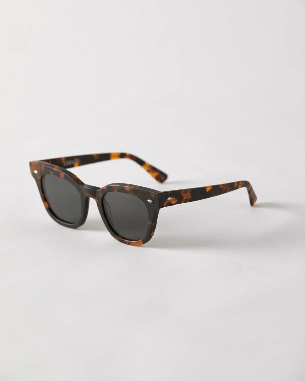 画像1: 【EPOKHE】DYLAN Dark Tortoise Matte Green