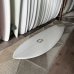 画像3: 【LOVE MACHINE】 5'6" Wills Fish