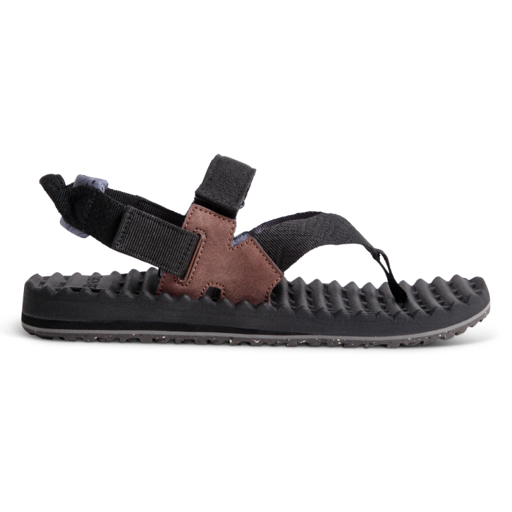 Freewaters フリーウォータース Treeline Sport Black Ride Surf Sport