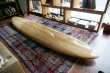 画像3: 【Neal Purchase Jnr/ニールパーチェスジュニア】Duo Glider8'8"