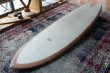 画像2: 【RICH PAVEL SURFBOARD/リッチパベル】High Performance Fish 5'9"