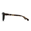 画像3: 【RAEN/レイン】Whidbey 53/MATTE BACK + MATTE BRINDLE TORTOISE