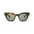 画像1: 【EPOKHE】DYLAN /Dark Tortoise Matte - Green