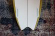 画像12: 【Ryan Burch/ライアンバーチ】Ride 25Anniversary Model　Fat Cuttle Fish 5'4"