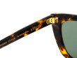 画像4: 【EPOKHE】KUPIT/Tortoise Polished / Green Polarised