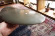 画像9: 【CRAFT SURFBOARD/クラフトサーフボード】Piggy ellipse7'9"