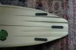 画像10: 【Tappy Records】MOD Thruster  6'4"