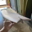 画像7: 【Christian Beamish】KING FISHER 8'0