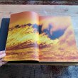 画像3: 【Morning Of The Earth】50th year anniversary BOOK