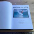 画像2: 【Morning Of The Earth】50th year anniversary BOOK