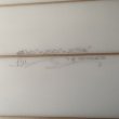 画像6: 【Morning Of The Earth Surfboards】FIJI triple stringer 6'10"