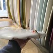 画像11: 【Morning Of The Earth Surfboards】MASSIVE 7'4