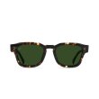 画像1: 【RAEN/レイン】Rece/BRINDLE TORTOISE/GREEN POLARIZED