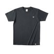 画像2: 【AXXC CLASSIC/アックスクラシック】オーガニックコットン T-Shirt