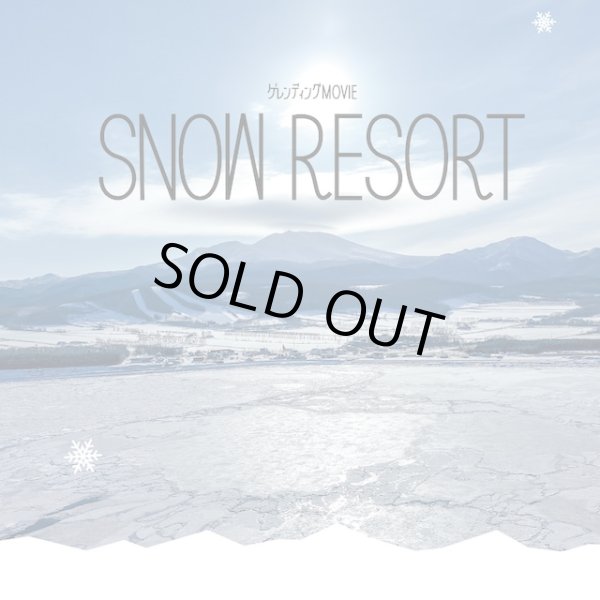 画像1: 【DVD】SNOW RESORT