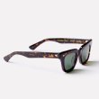 画像4: 【EPOKHE】Stereo - Tortoise Polished / Green Polarized