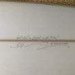 画像6: 20%OFF【Simon Jones Designs】FIJI 6’10”