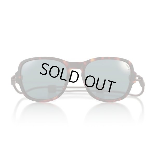 画像1: 【OMBRAZ】TETON/tortoise/polarized grey