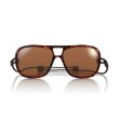 画像1: 【OMBRAZ】LEGGERO/tortoise/polarized brown