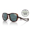画像2: 【OMBRAZ】TETON/tortoise/polarized grey