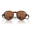 画像1: 【OMBRAZ】VIALE/Tortoise/polarized brown