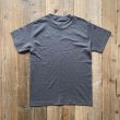 画像3: 【Todd Pinder】T-shirt